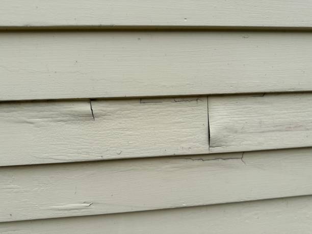 Best Custom Siding Design  in Geronimo, OK